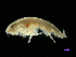  ( - MBI-SCCWRP-00612)  @11 [ ] CreativeCommons - Attribution Non-Commercial (2012) Southern California Coastal Water Research Southern California Coastal Water Research