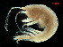  ( - MBI-SCCWRP-00619)  @11 [ ] CreativeCommons - Attribution Non-Commercial (2012) Southern California Coastal Water Research Southern California Coastal Water Research