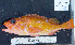  ( - PS-21)  @11 [ ] No Rights Reserved (2009) Unspecified Coastal Marine Biolabs