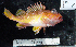  ( - PS-25)  @11 [ ] No Rights Reserved (2009) Unspecified Coastal Marine Biolabs