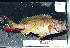  ( - IS-4)  @11 [ ] No Rights Reserved (2009) Unspecified Coastal Marine Biolabs