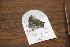  ( - FLMNH-05035)  @12 [ ] CreativeCommons - Attribution Non-Commercial Share-Alike (2011) Fernando M. S. Dias McGuire Center for Lepidoptera and Biodiversity - UF