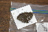  ( - FLMNH-05075)  @12 [ ] CreativeCommons - Attribution Non-Commercial Share-Alike (2011) Fernando M. S. Dias McGuire Center for Lepidoptera and Biodiversity - UF