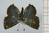  ( - AMC123)  @11 [ ] c (2023) Diego Dolibaina UFPR