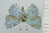  ( - AMC123)  @11 [ ] c (2023) Diego Dolibaina UFPR
