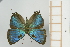  ( - AMC253)  @11 [ ] c (2024) Diego Dolibaina UFPR