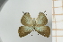  ( - AMC255)  @11 [ ] c (2024) Diego Dolibaina UFPR