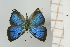 ( - AMC264)  @11 [ ] c (2024) Diego Dolibaina UFPR
