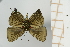  ( - AMC264)  @11 [ ] c (2024) Diego Dolibaina UFPR
