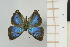 ( - AMC265)  @11 [ ] c (2024) Diego Dolibaina UFPR
