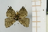  ( - AMC265)  @11 [ ] c (2024) Diego Dolibaina UFPR
