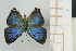 ( - AMC268)  @11 [ ] c (2024) Diego Dolibaina UFPR