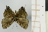  ( - AMC268)  @11 [ ] c (2024) Diego Dolibaina UFPR
