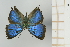 ( - AMC269)  @11 [ ] c (2024) Diego Dolibaina UFPR