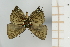  ( - AMC269)  @11 [ ] c (2024) Diego Dolibaina UFPR