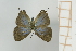  ( - AMC281)  @11 [ ] c (2024) Diego Dolibaina UFPR
