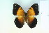  ( - BC-CGCM-19.729)  @12 [ ] Copyright (2010) Unspecified Research Collection of Carlos Mielke