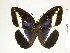  ( - BC-DZ-9.919)  @14 [ ] Copyright (2010) Unspecified Universidade Federal do Parana