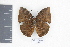  ( - DZ9651)  @12 [ ] CreativeCommons - Attribution Non-Commercial Share-Alike (2010) Fernando M. S. Dias UFPR