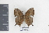  ( - DZ19243)  @11 [ ] CreativeCommons - Attribution Non-Commercial Share-Alike (2010) Fernando M. S. Dias UFPR
