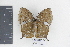  ( - DZ19974)  @11 [ ] CreativeCommons - Attribution Non-Commercial Share-Alike (2010) Fernando M. S. Dias UFPR