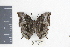  ( - DZ19492)  @11 [ ] CreativeCommons - Attribution Non-Commercial Share-Alike (2010) Fernando M. S. Dias UFPR