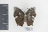  ( - DZ19957)  @12 [ ] CreativeCommons - Attribution Non-Commercial Share-Alike (2010) Fernando M. S. Dias UFPR