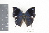  ( - DZ19957)  @12 [ ] CreativeCommons - Attribution Non-Commercial Share-Alike (2010) Fernando M. S. Dias UFPR