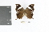  ( - DZ19169)  @11 [ ] CreativeCommons - Attribution Non-Commercial Share-Alike (2010) Fernando M. S. Dias Universidade Federal do Parana