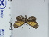  ( - DZ19.240)  @11 [ ] c (2024) Diego Dolibaina UFPR