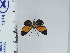  ( - DZ19.299)  @11 [ ] c (2024) Diego Dolibaina UFPR
