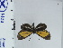  ( - DZ22.392)  @11 [ ] c (2024) Diego Dolibaina UFPR