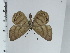  ( - DZ34.984)  @11 [ ] c (2024) Diego Dolibaina UFPR