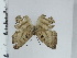  ( - DZ35.264)  @11 [ ] c (2024) Diego Dolibaina UFPR
