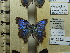  ( - DZ62.221)  @11 [ ] c (2024) Diego Dolibaina UFPR
