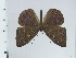  ( - DZ64.601)  @11 [ ] c (2024) Diego Dolibaina UFPR