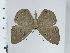  ( - DZ64.601)  @11 [ ] c (2024) Diego Dolibaina UFPR