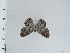  ( - DZ66.935)  @11 [ ] c (2024) Diego Dolibaina UFPR