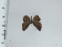  ( - DZ66.940)  @11 [ ] c (2024) Diego Dolibaina UFPR