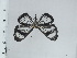  ( - DZ66.948)  @11 [ ] c (2024) Diego Dolibaina UFPR