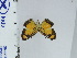  ( - DZ66.953)  @11 [ ] c (2024) Diego Dolibaina UFPR
