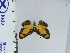  ( - DZ66.954)  @11 [ ] c (2024) Diego Dolibaina UFPR