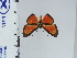  ( - DZ66.957)  @11 [ ] c (2024) Diego Dolibaina UFPR