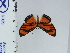  ( - DZ66.958)  @11 [ ] c (2024) Diego Dolibaina UFPR