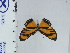  ( - DZ66.958)  @11 [ ] c (2024) Diego Dolibaina UFPR