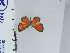  ( - DZ66.995)  @11 [ ] c (2024) Diego Dolibaina UFPR