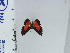  ( - DZ66.996)  @11 [ ] c (2024) Diego Dolibaina UFPR