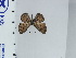  ( - DZ67.000)  @11 [ ] c (2024) Diego Dolibaina UFPR