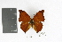  ( - DZ19388)  @13 [ ] CreativeCommons - Attribution Non-Commercial Share-Alike (2012) Fernando M. S. Dias UFPR