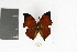  ( - DZ19529)  @12 [ ] CreativeCommons - Attribution Non-Commercial Share-Alike (2012) Fernando M. S. Dias UFPR